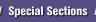 Special Sections